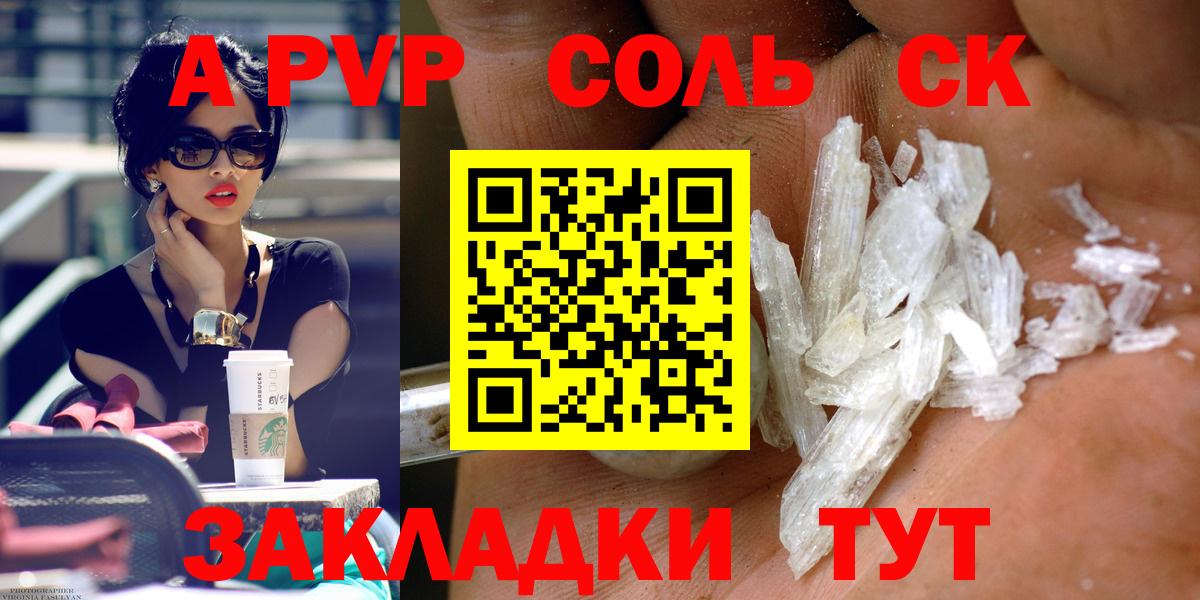 A PVP СК Петропавловск-Камчатский