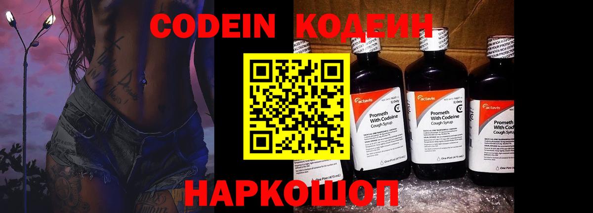 A-PVP Петропавловск-Камчатский