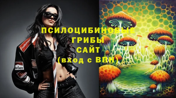 эйфоретик Майский