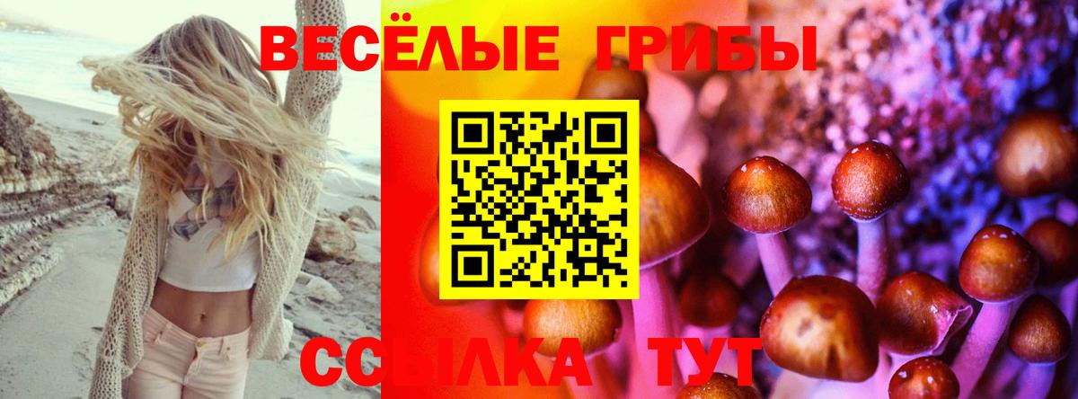 Псилоцибиновые грибы Magic Shrooms  Вход с VPN  Псилоцибиновые грибы Cubensis  Петропавловск-Камчатский 