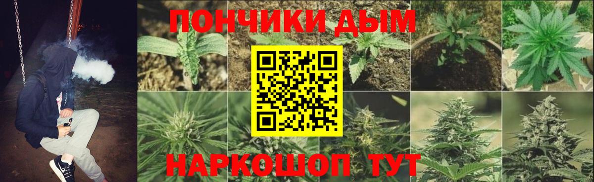 МАРИХУАНА марихуана  Вход с VPN  МАРИХУАНА ГИДРОПОН  Петропавловск-Камчатский  Канабис сатива  Бошки марихуана марихуана 